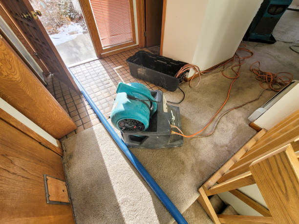 Best Water damage restoration near me  in North Scituate, MA