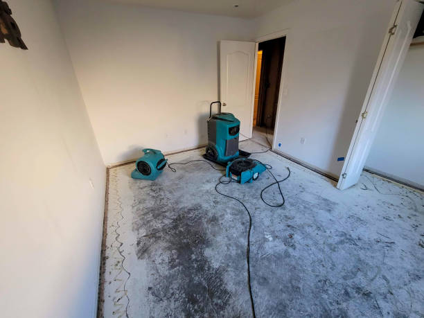 Best Mold removal after water damage  in North Scituate, MA
