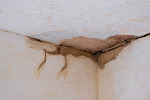 Trusted North Scituate, MA Water damage restoration Experts