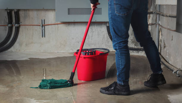 Best Water damage contractors near me  in North Scituate, MA