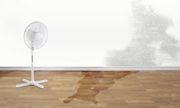 Best Emergency water damage restoration  in North Scituate, MA