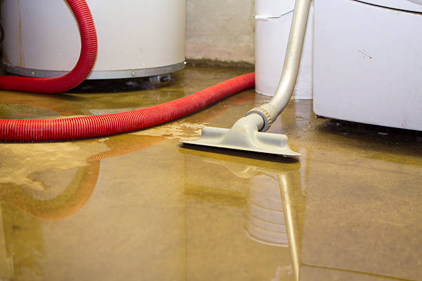 Best Flood restoration services  in North Scituate, MA