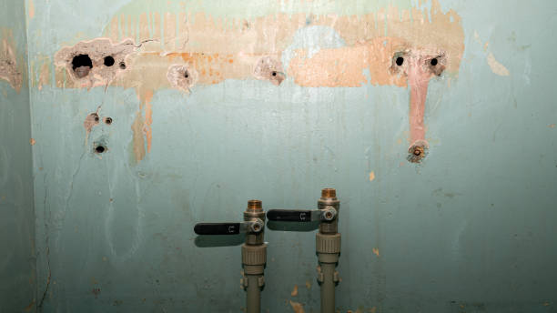Best Water damage restoration experts  in North Scituate, MA