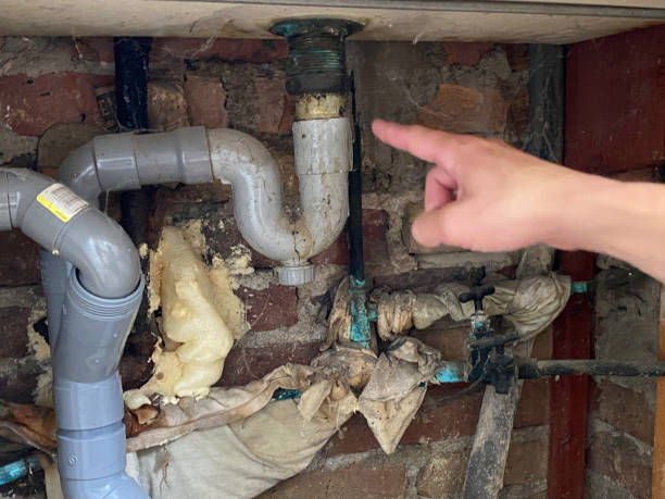 Best Flood damage cleanup  in North Scituate, MA