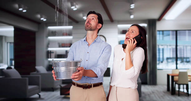 Best Ceiling water damage repair  in North Scituate, MA